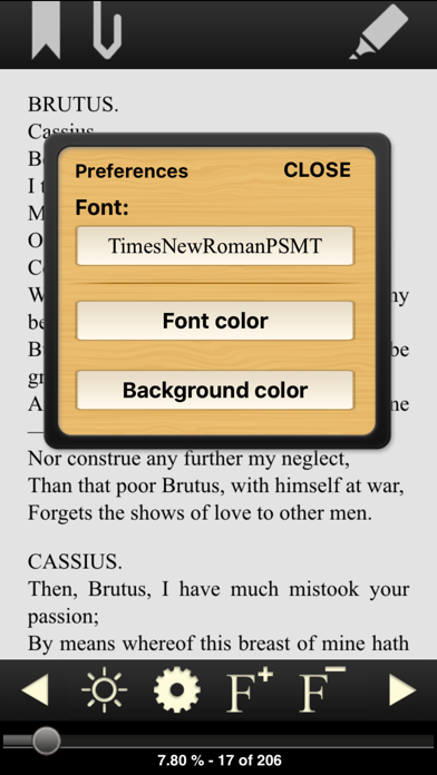 Ebook Reader Screenshot