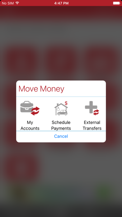 How to cancel & delete Apple Federal Credit Union from iphone & ipad 4