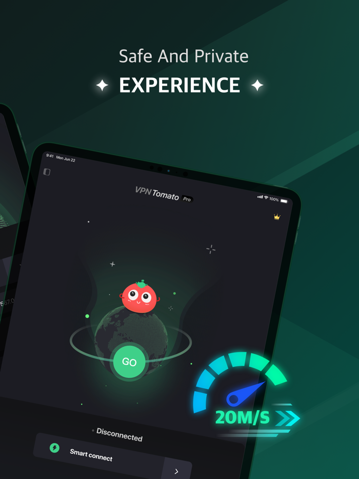 VPN Tomato Pro - Fast and Secure
