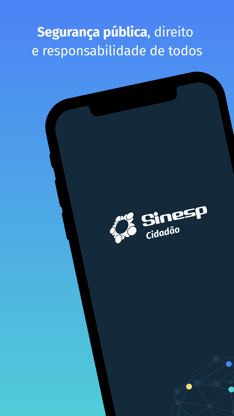 Sinesp Cidadão screenshot 1
