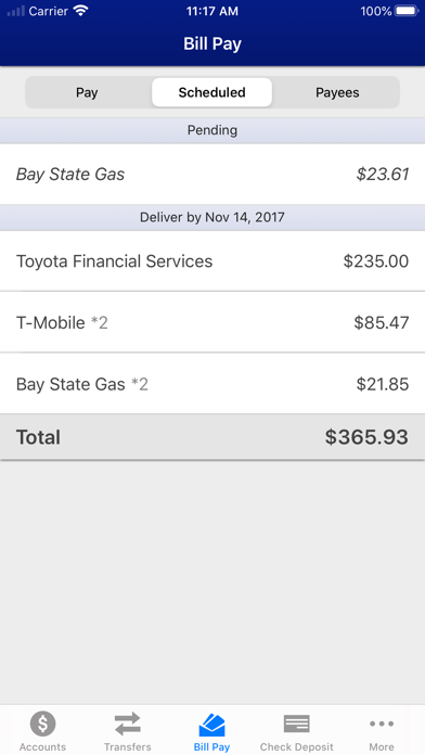 Putnam County Bank Screenshot