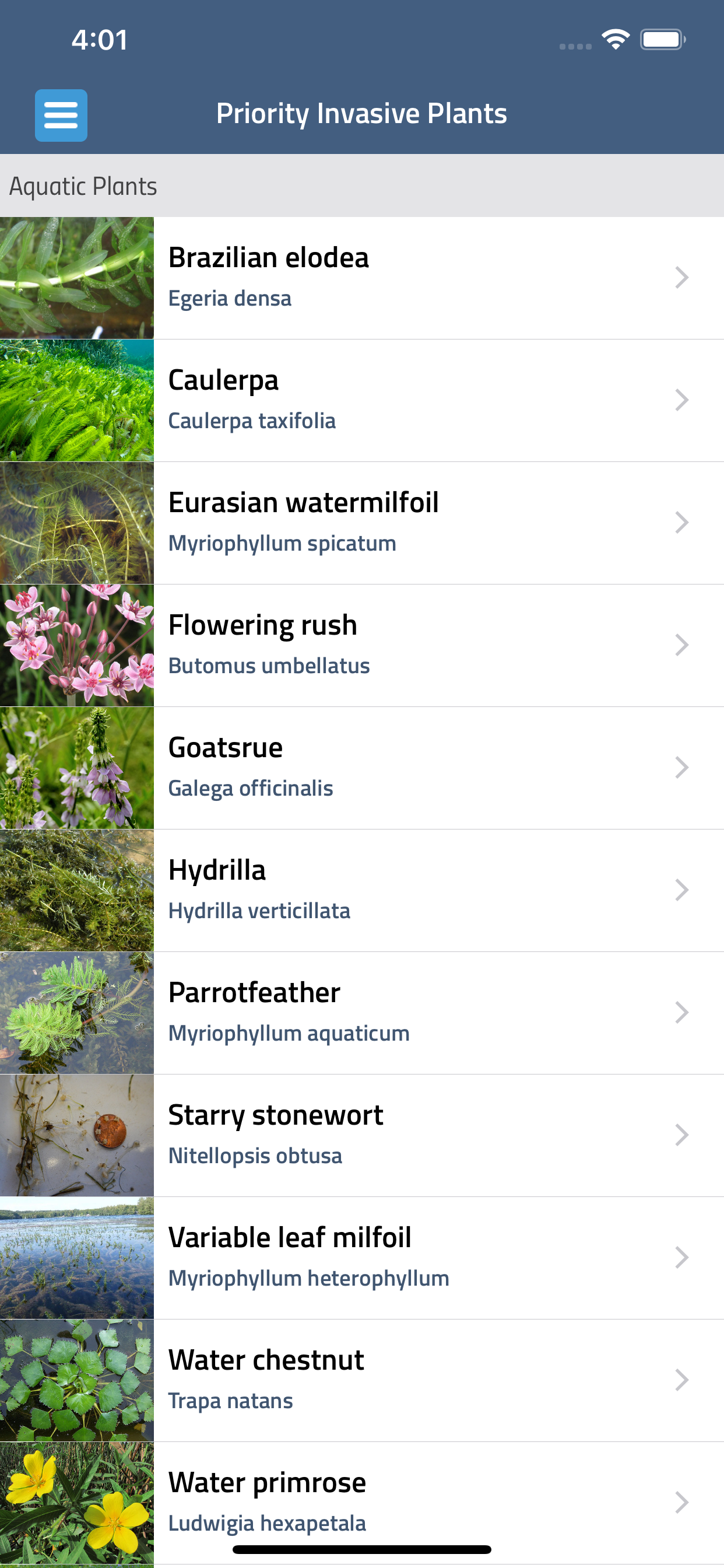 WA Invasives