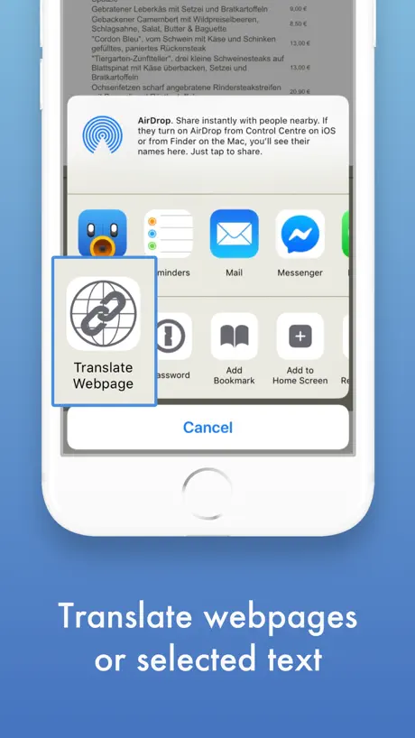 Translate Translator