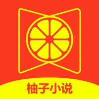 柚子小说-看小说大全的电子书阅读神器 pour PC