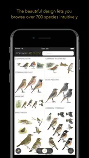 collins british bird guide iphone screenshot 1