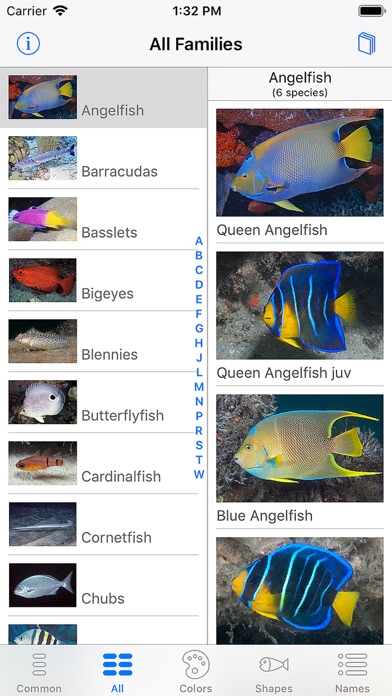 Easy Fish ID Caribbean Screenshot