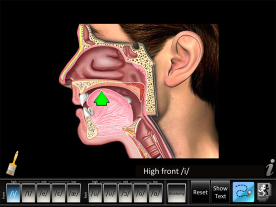 Screenshot #4 pour Vowels Front Back