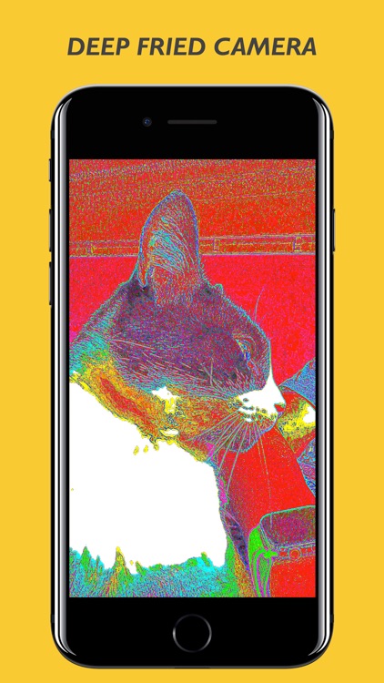 Meme Deep Fryer - Meme Maker screenshot-4