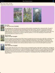 the fairy tale tarot айпад изображения 4