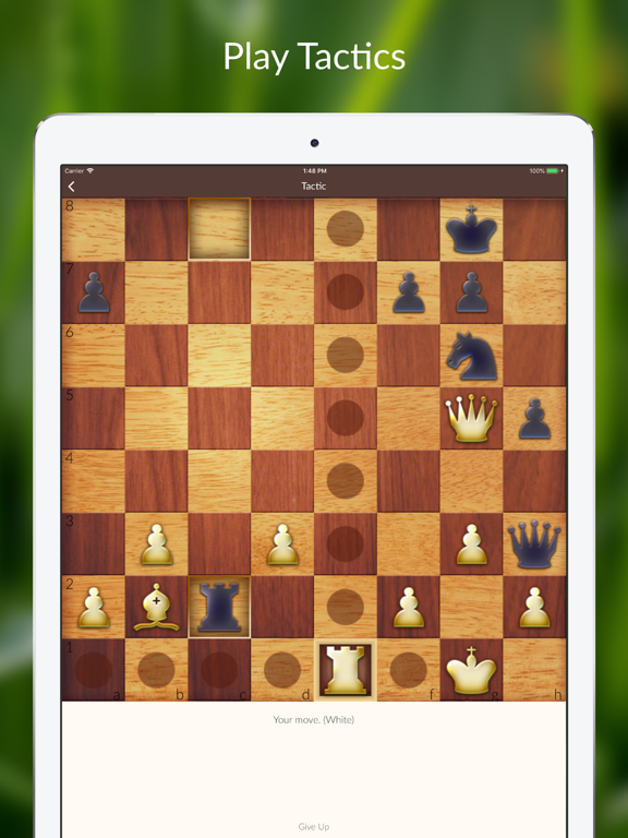 Screenshot #4 pour Chess Tactics and Lessons