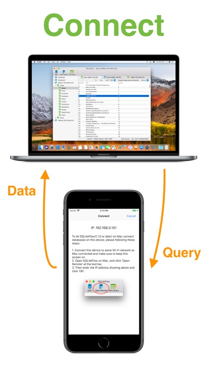 SQLiteFlow - SQLite Editor screenshot-7