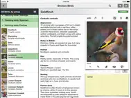 Birds of Britain Pocket Guide ipad bilder 0