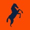 Predominantly Orange app is a one-stop shop for Denver Broncos fans, featuring breaking news, expert analysis and hot rumors about the Broncos