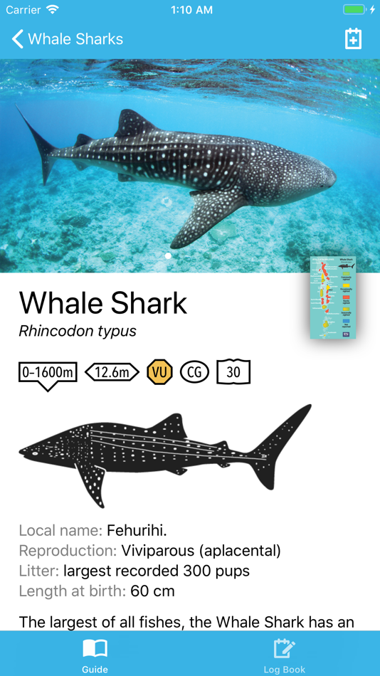 #1. Fishes of the Maldives (iOS) 由: Atoll Editions Mobile