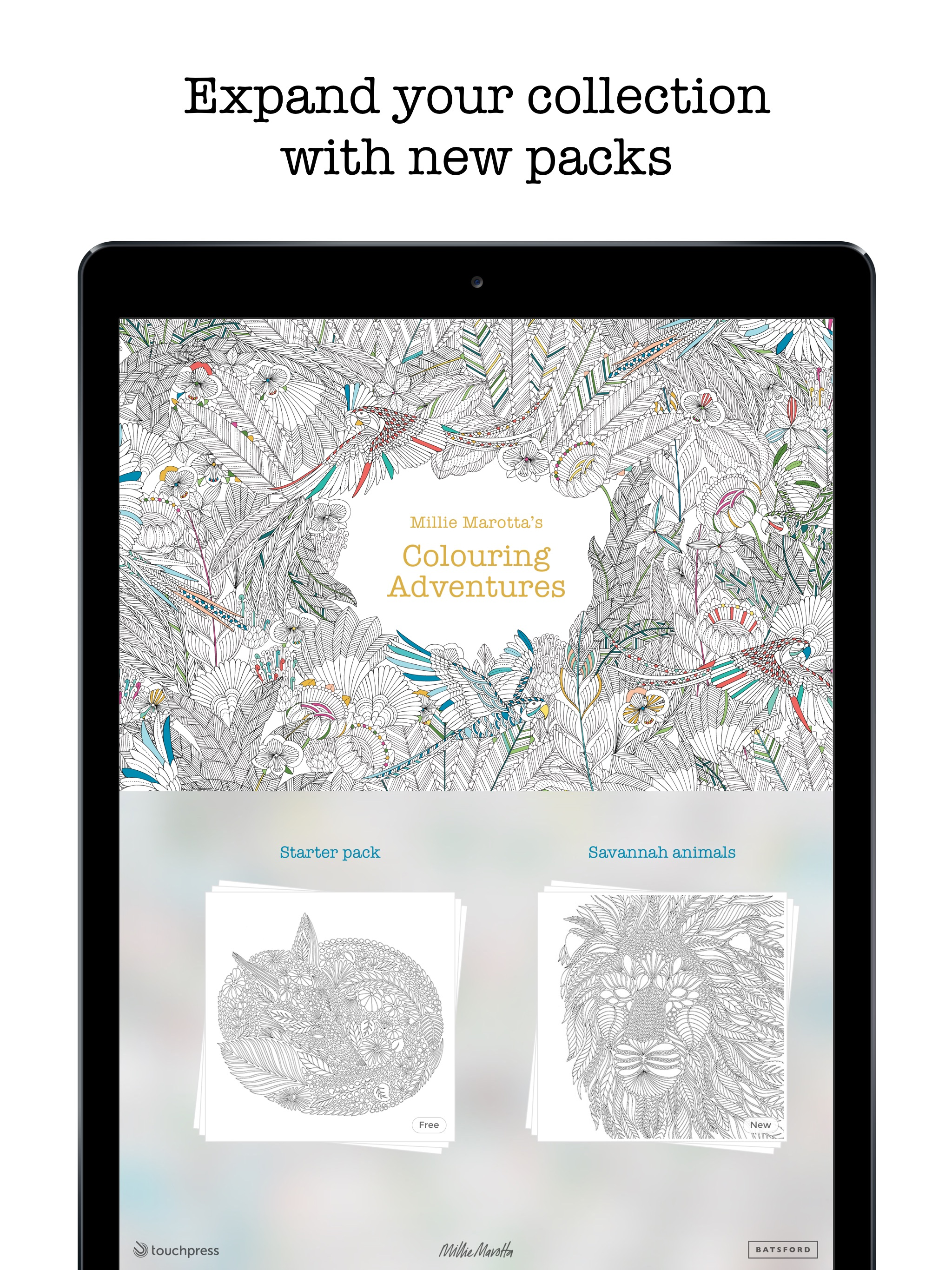 Coloring Adventures screenshot 5