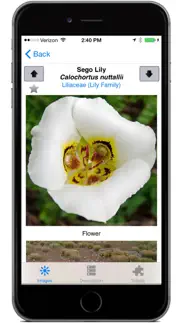 flora of the wasatch iphone screenshot 4