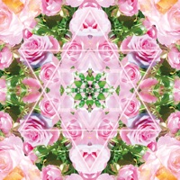 花曼荼羅（日本フラワー風水協会公式）