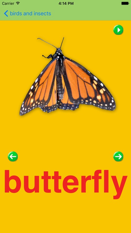 KnowleKids Flashcards screenshot-4