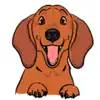 Adorable Weenie Dachshund Dog negative reviews, comments