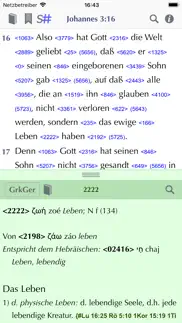 importantia strong-bibel iphone bildschirmfoto 1
