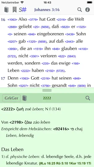 Screenshot von Importantia Strong-Bibel auf dem iPhone 1