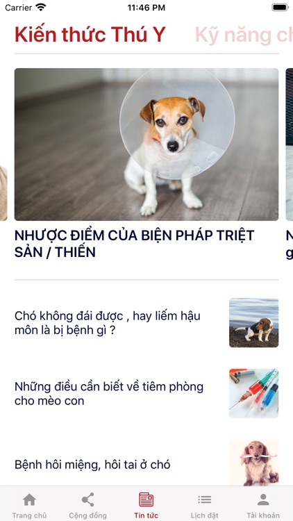 vPET - Thú Cưng Online