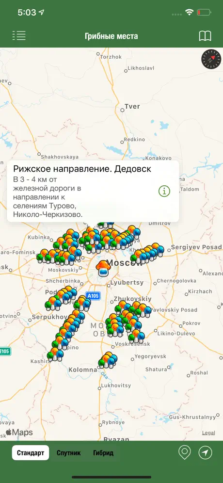 iГрибник: Грибы всего мира