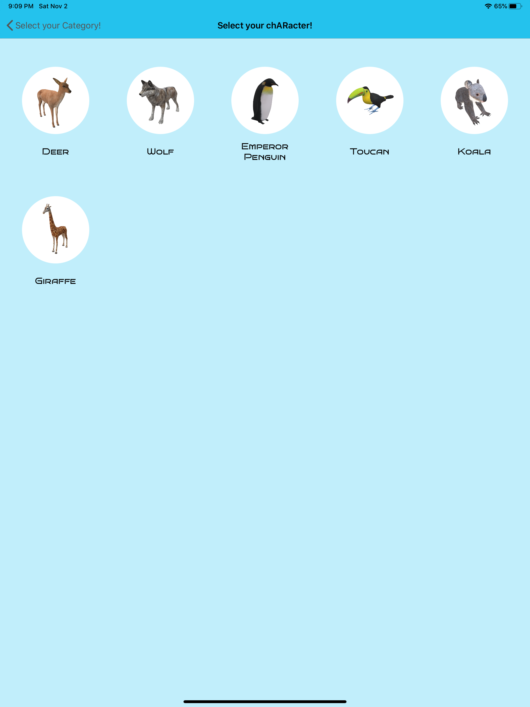 chARacters - an AR photo app!