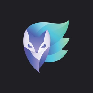 Enlight download