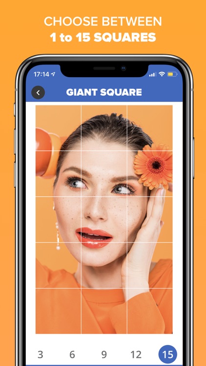 Giant Square - Grids Editor screenshot-3
