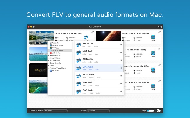FLV Converter on the Mac App Store