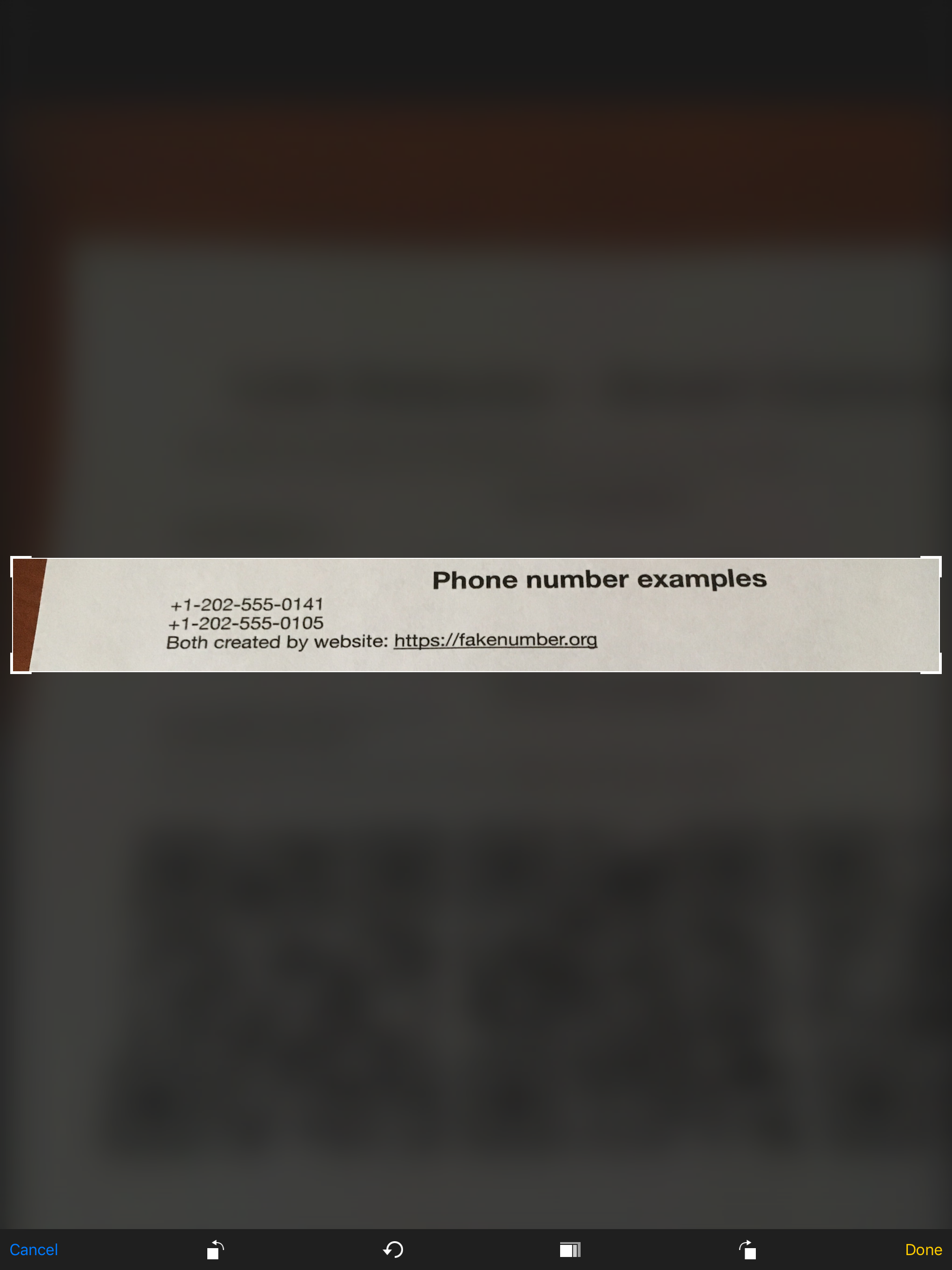 Link Detector - Smart Scanner screenshot 7