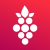 Winify: Write Food, find Wine