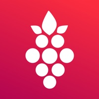 Winify: Write Food, find Wine pour PC