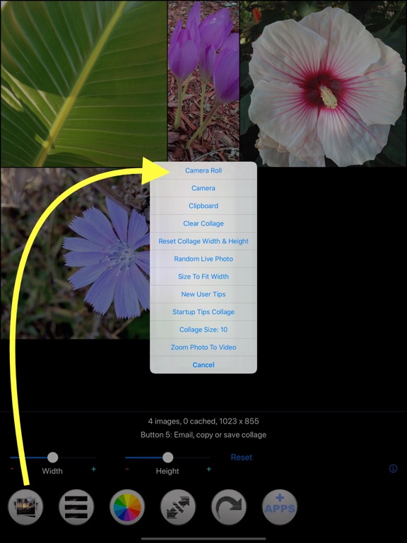 Screenshot #5 pour Photo Collage - Video, GIF too
