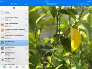 opentext filr ipad resimleri 3