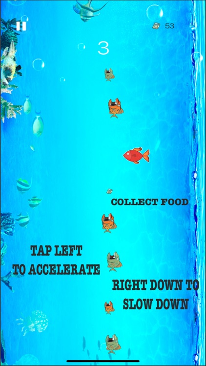 Fish Mania- Save the Fish