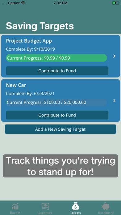 Project Budget screenshot 3