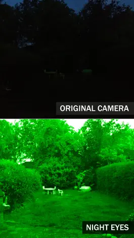 Game screenshot Night Eyes - Low Light Camera apk