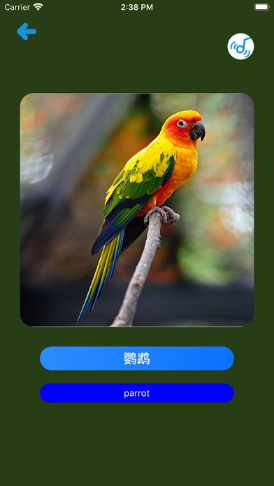 Learn Chinese Simple APP Screenshot
