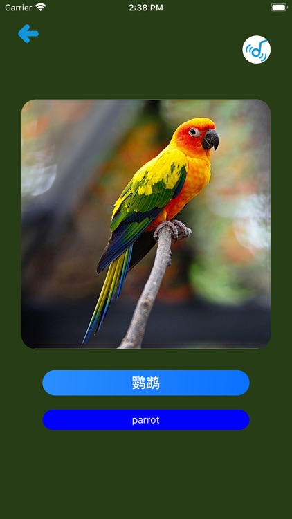 Learn Chinese Simple APP screenshot-4