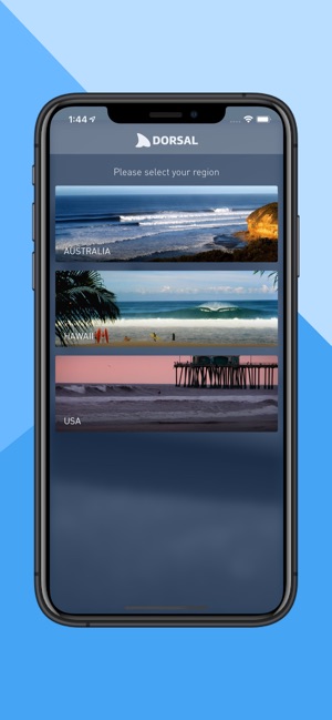 Dorsal Shark Reports(圖1)-速報App