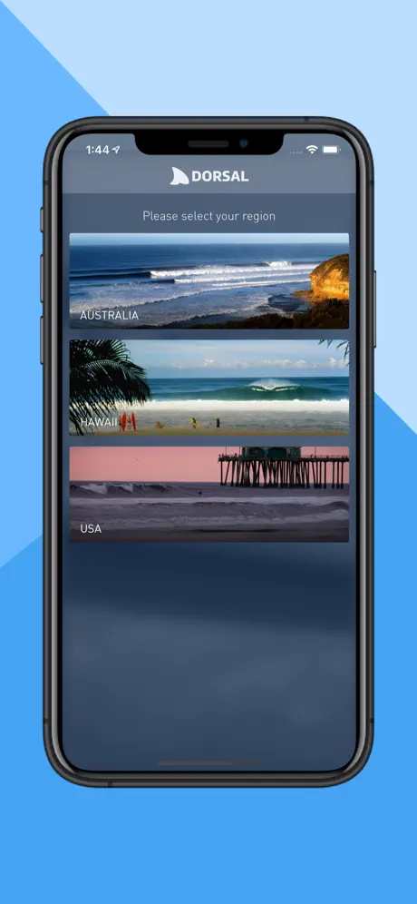 Dorsal Shark Reports