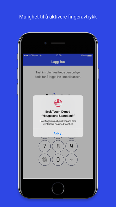 Haugesund Sparebank Mobilbank Screenshot