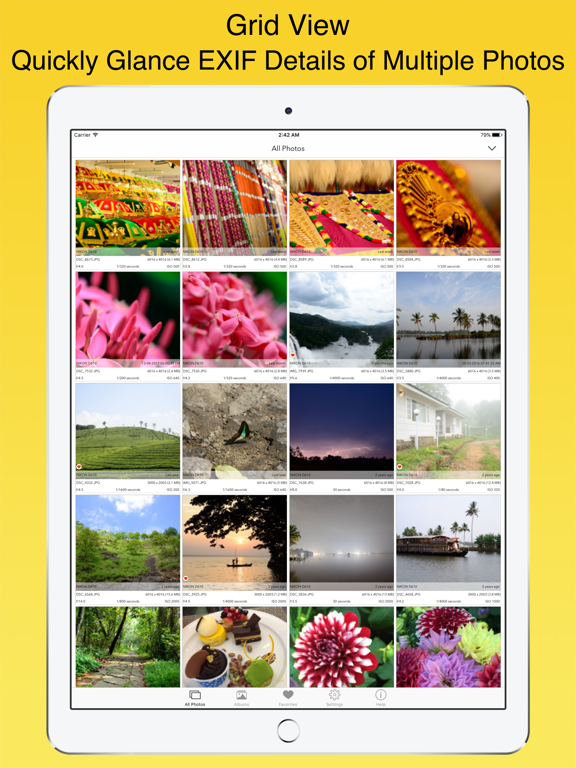 EXIF Viewer by Fluntro iPad screenshot 6 - Photo & Video app