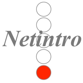 螢幕擷取畫面 (6) Netintro Info