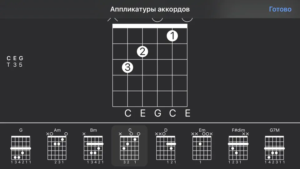 Скриншот Guitar Pro на iPhone 8