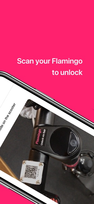 Flamingo Scooters(圖3)-速報App