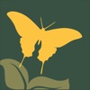 NWF Guide to Butterflies - iPhoneアプリ