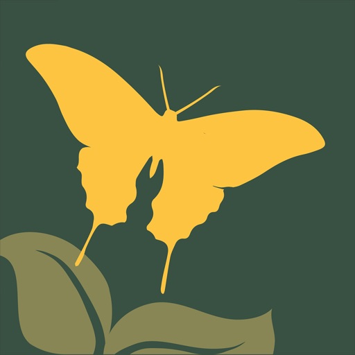 NWF Guide to Butterflies icon